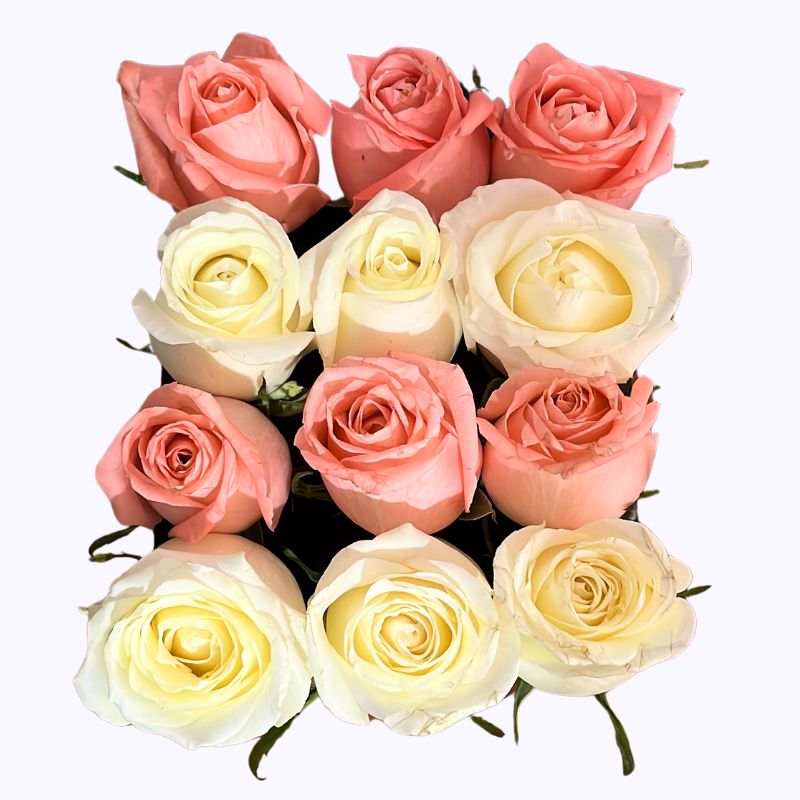 Caja de Rosas Pastel para Mamá
