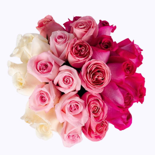 Rosas Multicolor en caja