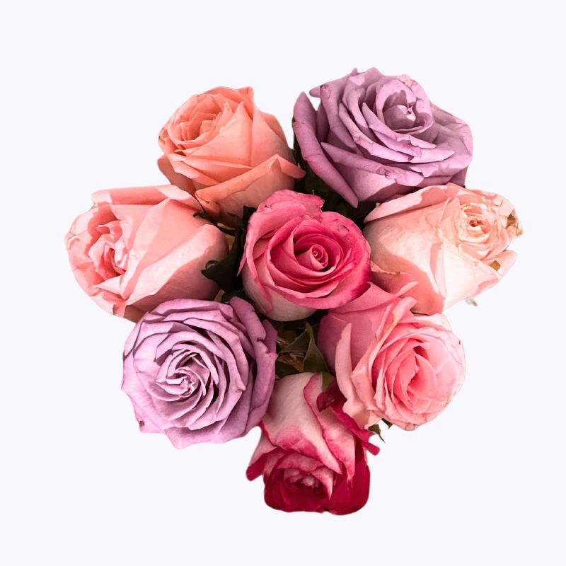 Detalle de rosas